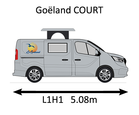 vignette Goeland court